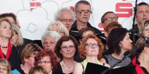 2015 landesgartenschau 2015 landesgartenschau