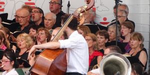 2015 landesgartenschau 2015 landesgartenschau